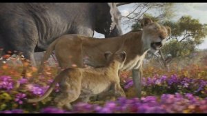 Песня из фильма Муфаса Король лев песня про Милели