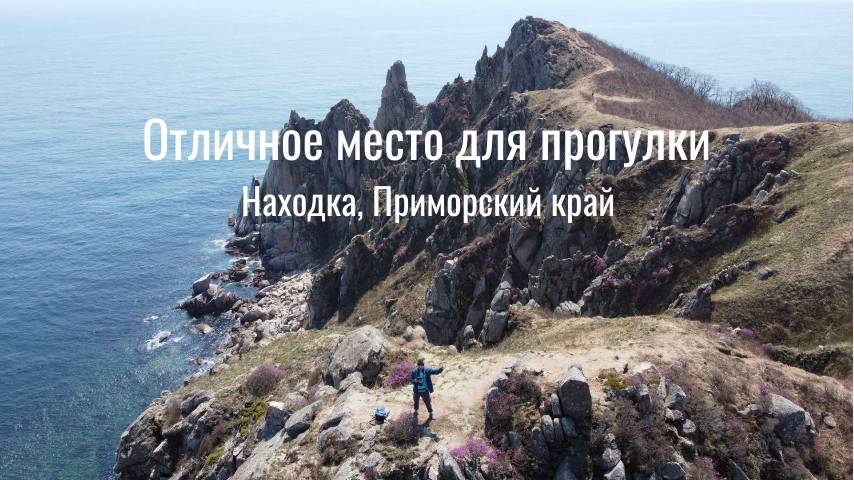 Живописный мыс Лисученко, Находка, Цветение Родидендрона смотреть онлайн