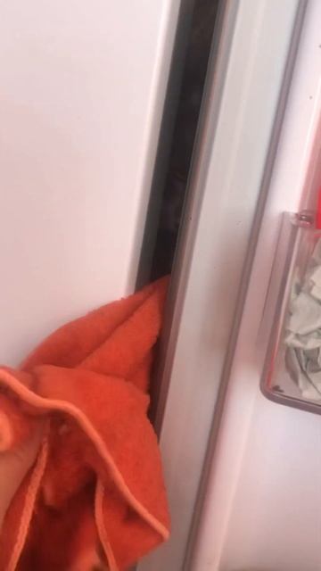 Тиша помогает мыть холодильник смотреть онлайн