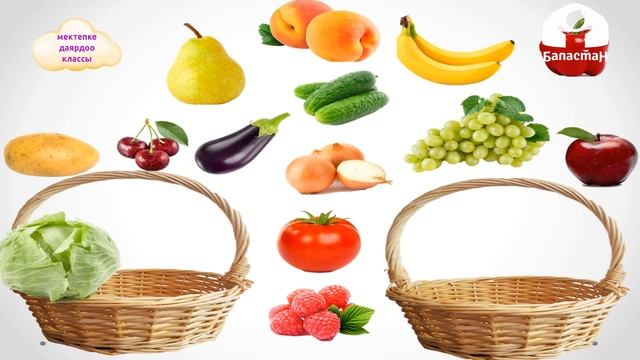 Мектепке даярдоо классы / Айлана чөйрө менен таанышуу / Жашылча жемиштер / 16.09.20