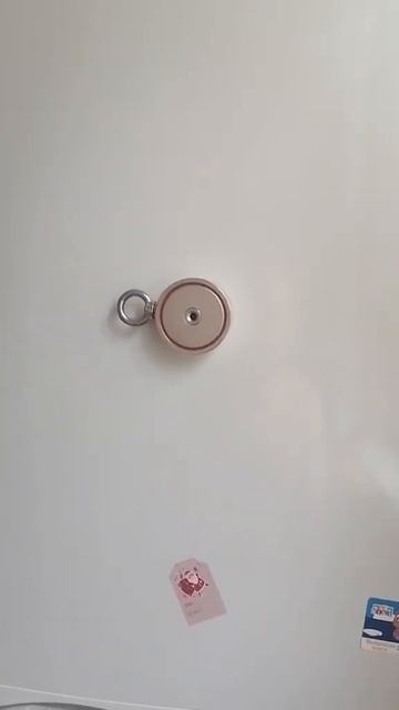 Поисковый магнит на холодильник