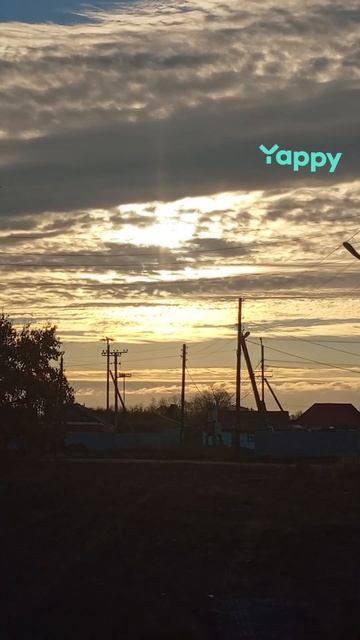 1010895410.mp4 смотреть онлайн