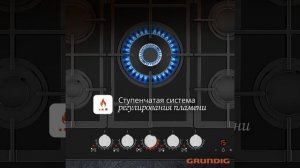 Ступенчатая регулировка пламени на газовой панели Grund