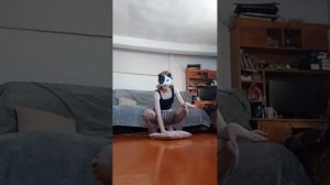 тутор на прыжок в высоту|квадробика|🌙~Luna~🌙