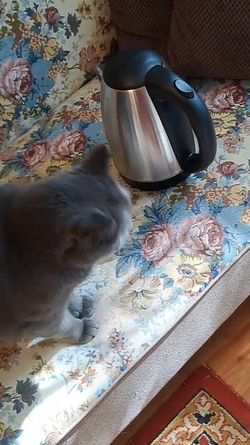 Очередной чайник .Another teapot. смотреть онлайн