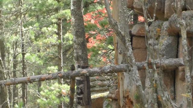 МАМОНТ-каменный