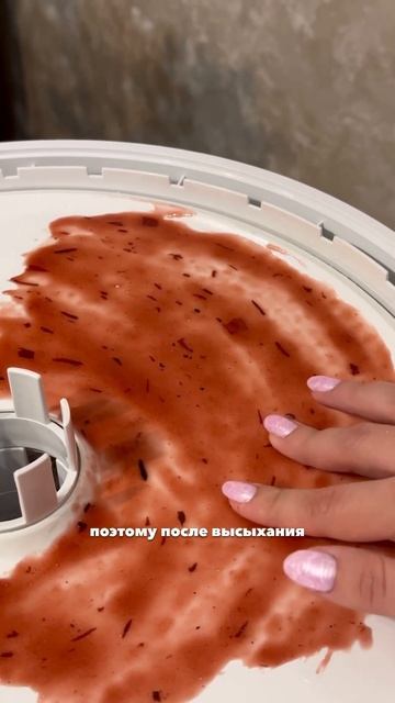 Сушим джем в дегидраторе #опыт #сушилка #пастила #семей смотреть онлайн