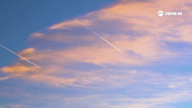 Джавид Касимов - Мой самолет | Премьера трека 2025 смотреть онлайн