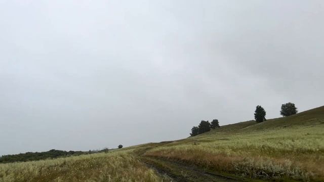 Дикая МЯСОРУБКА по БЕЗДОРОЖЬЮ! ГРЯЗИВЫЕ ПОКАТУШКИ НА ? смотреть онлайн