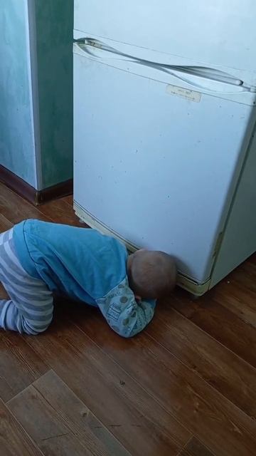 Что же там под холодильником ? #videoshort #baby
