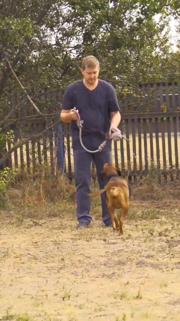 Если у вас есть собака #юмор #комедия #деревня #жизненн? смотреть онлайн