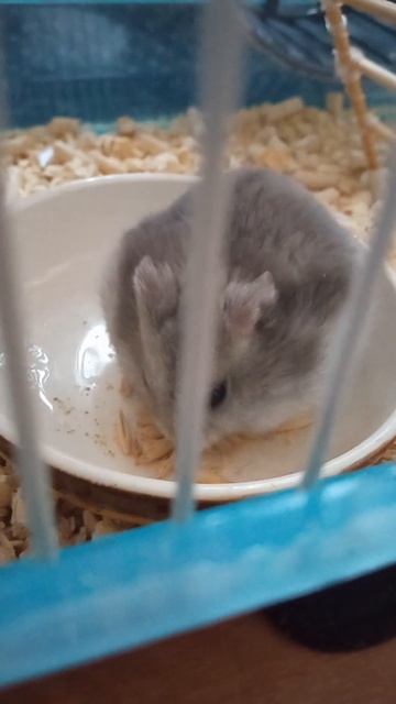 Наш маленький пылесос) смотреть онлайн