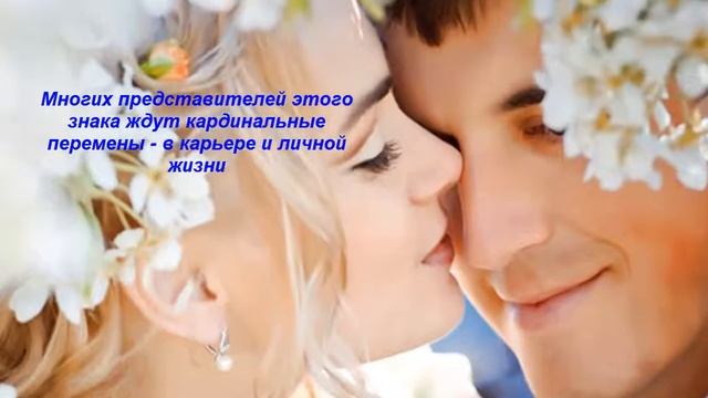 Гороскоп по знакам зодиака на 2016 год. ТЕЛЕЦ смотреть онлайн