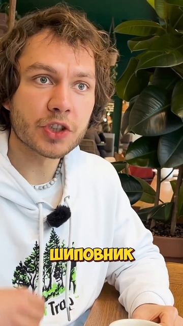 КОФЕ-КОМПОТ или фильтр из Боливии😜 смотреть онлайн