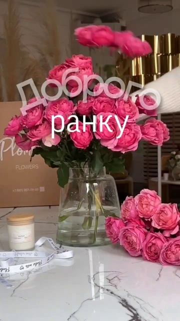 Доброго ранку Україно 🙏 #астрологія #феншуй #гороскоп смотреть онлайн