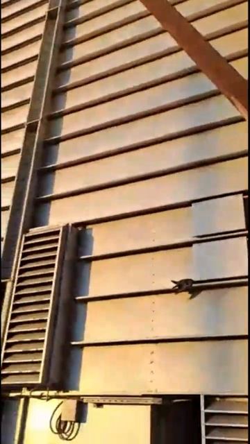 Наглядно о влиянии теплоизоляции сушилки на её работу смотреть онлайн