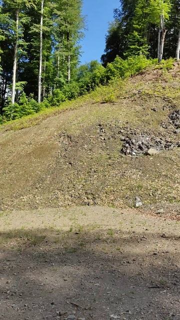 Красная поляна. Сочи. Май 2024 #shorts #море #природа #красот? смотреть онлайн