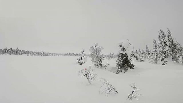 Скитур на Ослянку - главную вершину среднего Урала