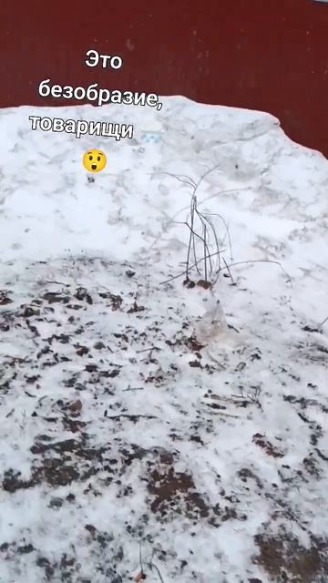 Сургут,29 мая погода жесть смотреть онлайн