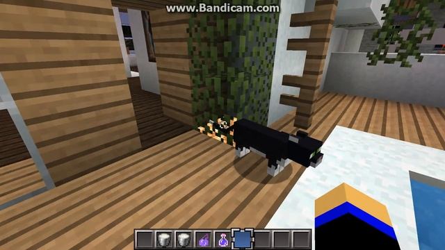 мои кот любит хип-хоп на маинкрафт