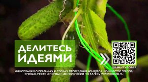 Растём на даче! Суперконкурс от телеканала «Бобёр»!