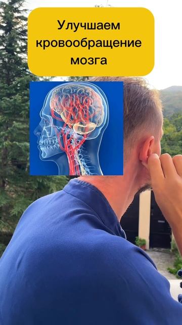 ЗОЖники🔥Бережем голову: секреты против инсульта и ул смотреть онлайн