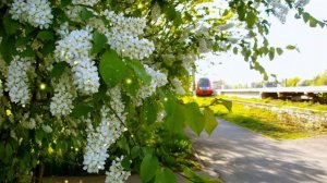 А ты забыл!!!Татьяна Козловская!!!Тамара Каптюхова!!!