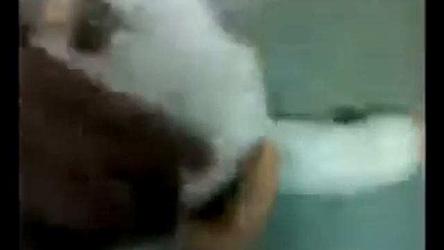 Ромео и Джульетта прикол.flv смотреть онлайн
