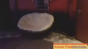 Приколы по домофону-часть 4 с основателями