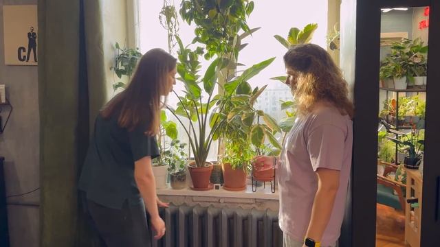 Домашние джунгли: в гостях у Maranta HomePlants