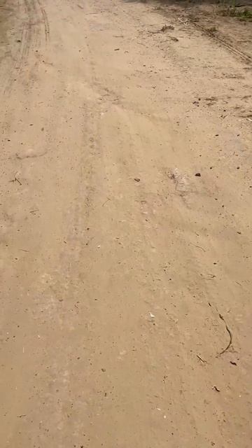 Идем ловить рыбу ждите дальних новостей лайк не забуд? смотреть онлайн