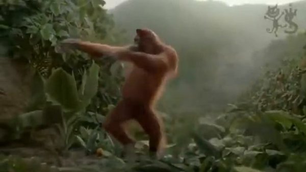 Танцующая обезьяна