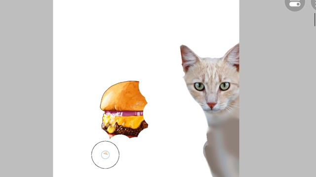 кошка ест бургер #кошка #бургер #асмр