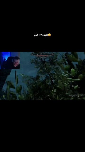Как играть в Skyrim?🥲 расскажи мне https://www.twitch.tv/konductor56 #memes смотреть онлайн