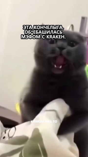 #kraken #кракен #новости #а4 #актив смотреть онлайн