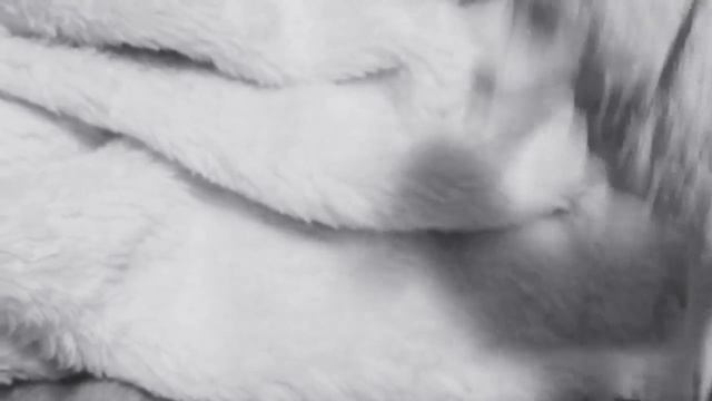 Савва. Сердце воина. Клип. Против шерсти смотреть онлайн