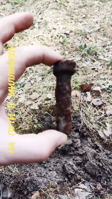 нашёл болт #болт #находки #металлоискатель смотреть онлайн