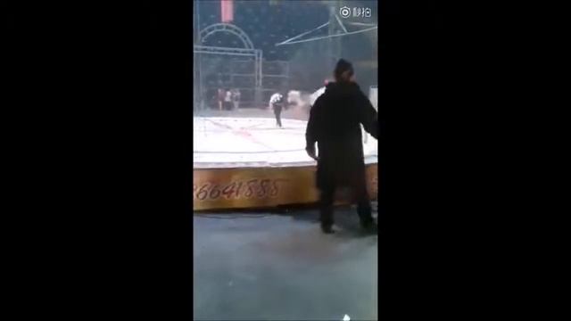 В китайском цирке лев и тигр терзали лошадь под ударами дрессировщиков смотреть онлайн