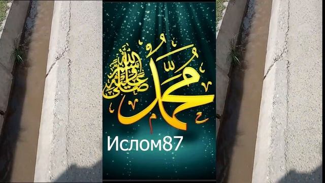 ДИЛУ ЧОНАМ ФИДОЯТ Ё МУҲАММАД С.А.В