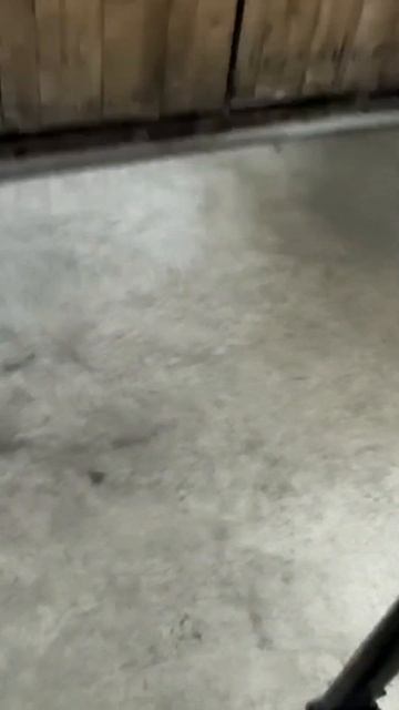 Вес Tarpon, SeaPro 9.9(15) short #shorts #kitpro #рыбалка #обзор #отдых #лод смотреть онлайн