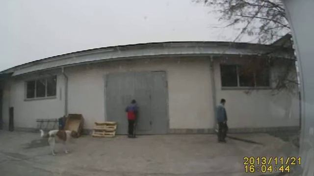 Вася пливе смотреть онлайн