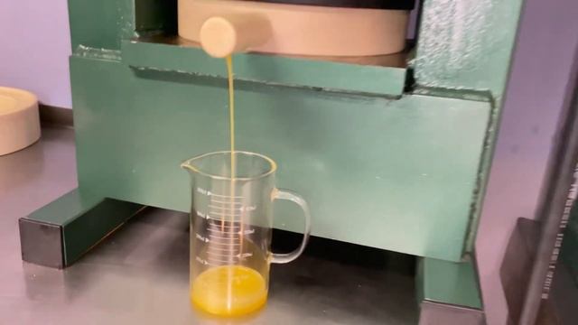 Производство масел холодного отжима в Испании