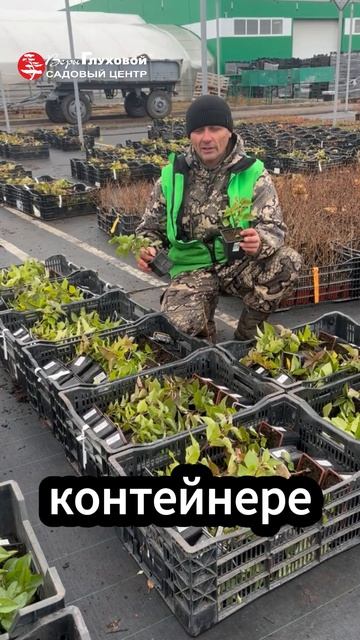 Готовимся к сезону - 2025