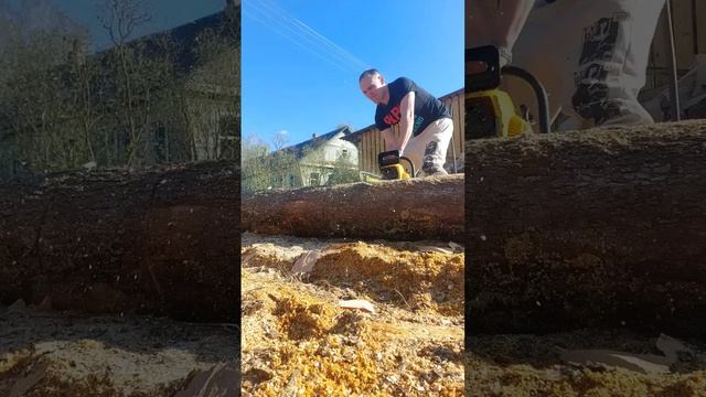 бензопила чемпион 🏆 Китай смотреть онлайн