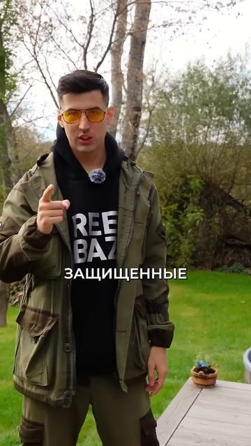 Розетки на улице в частном доме. Нужны или нет? #глэмпи? смотреть онлайн