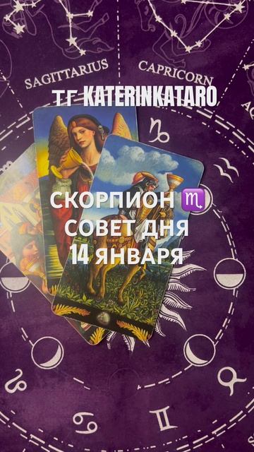 СКОРПИОН ♏️ СОВЕТ ДНЯ 14 ЯНВАРЯ #весы #таро #tarot #гороск? смотреть онлайн