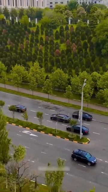 Город Душанбе 14.04.2025 сегодня Таджикистан смотреть онлайн