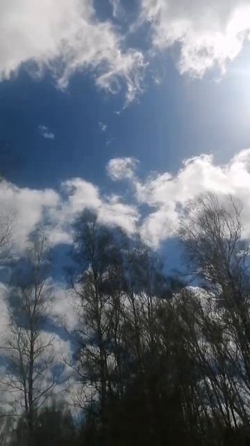 Синоптики не угадали#shorts #Recent#nature #погода #новосибирск смотреть онлайн