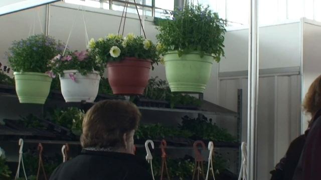 Московская Зеленая Неделя - 2012 №50 смотреть онлайн