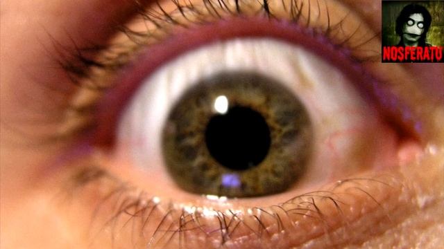 WI-FI Смерти. Страшные истории на ночь 🫣🫣🫣 смотреть онлайн